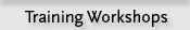 Training Workshops