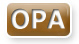 Organizational Performance Assessment